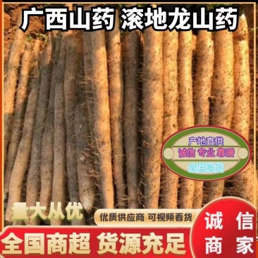 广西淮山药滚地龙山药白鬼淮山药对接商超欢迎光临本店选购