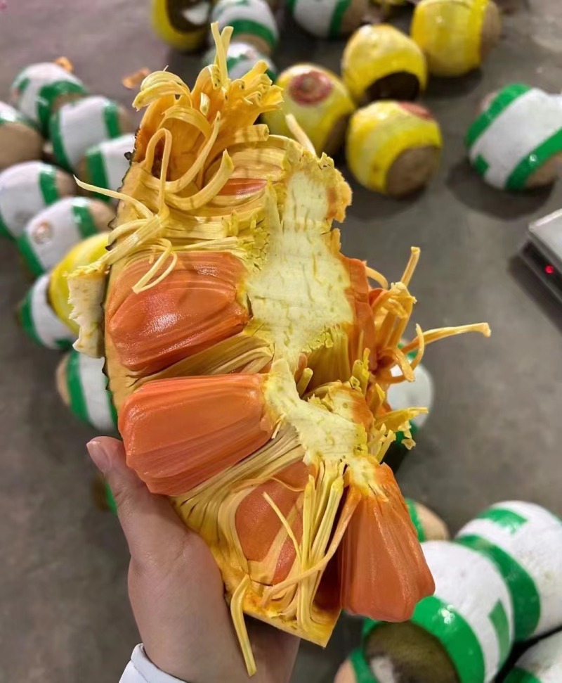 菠萝蜜泰国红肉8号大量现货对接全国市场电商商超