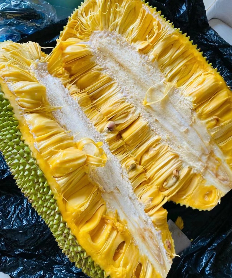 菠萝蜜马来西亚1号菠萝蜜产地直发品质保证提供一条龙服务