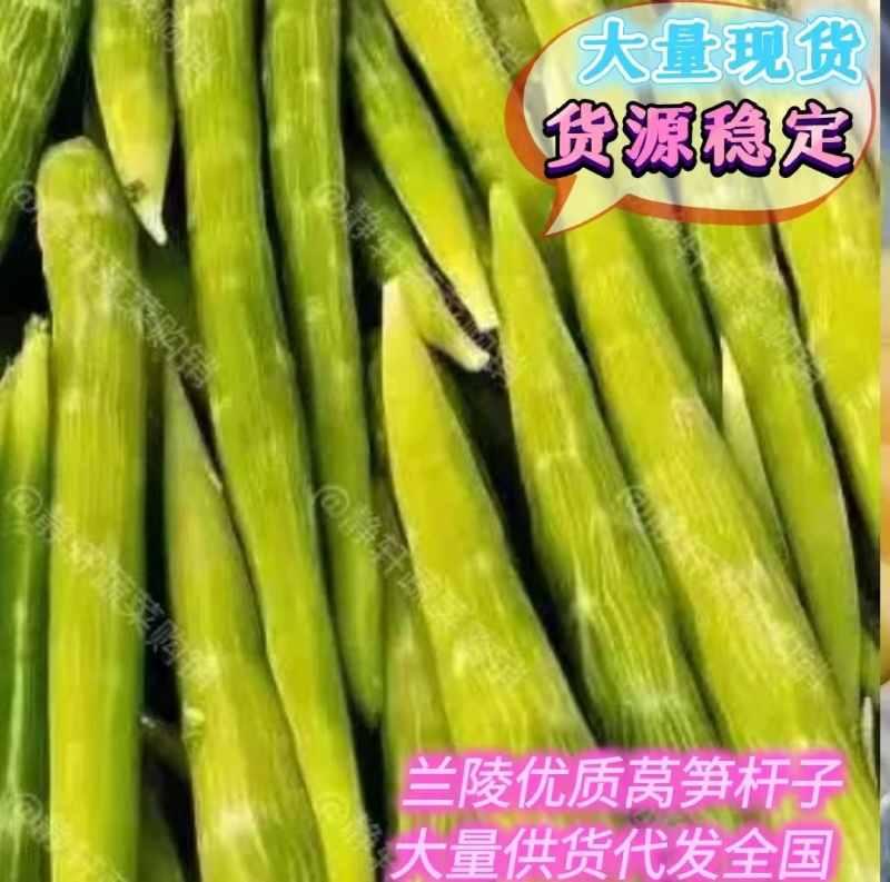 兰陵莴笋莴笋肉莴笋杆子产地直供价格便宜欢迎来电
