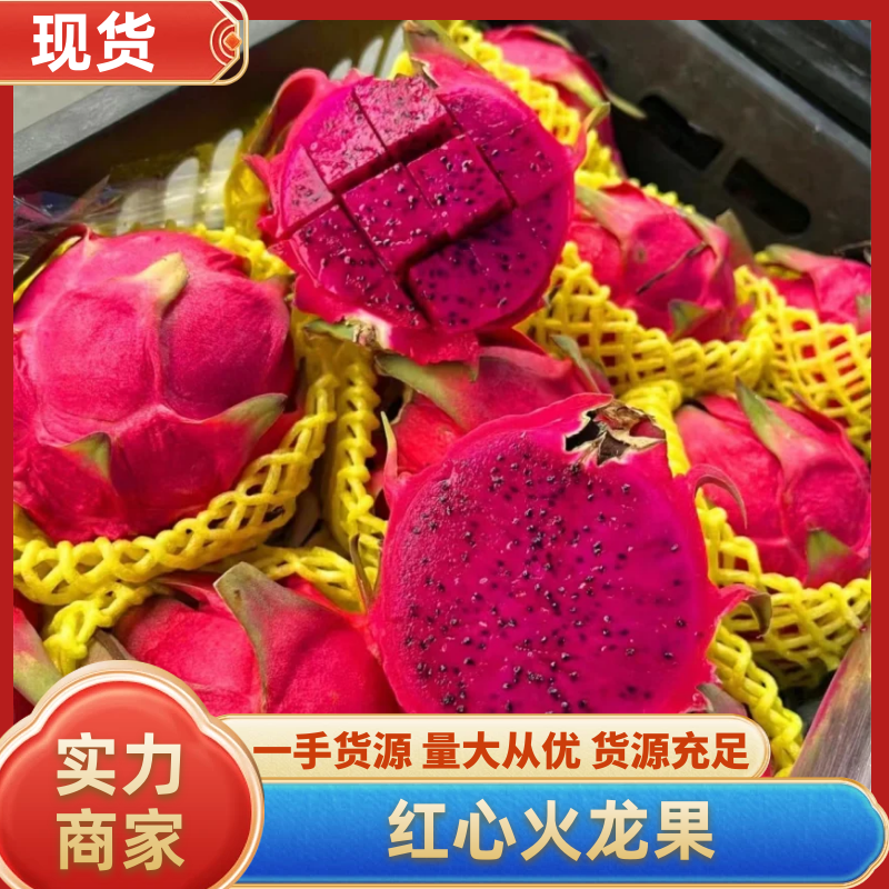 【火龙果】广东湛江红心火龙果大量供应超市电商市场