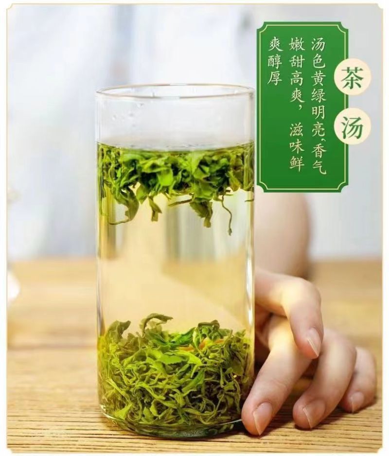 2024新茶云雾高山绿茶炒青香浓绿茶基地供应一手货源