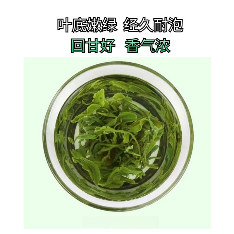 2024新茶云雾高山绿茶炒青香浓绿茶基地供应一手货源