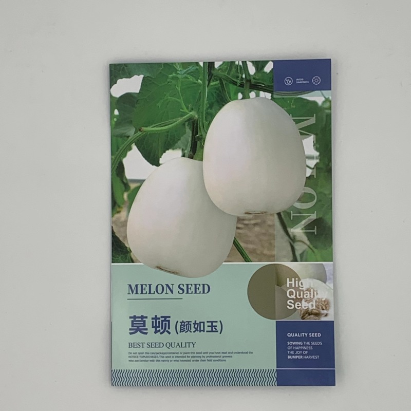 颜如玉甜瓜种子果实圆形皮色微透黄亮