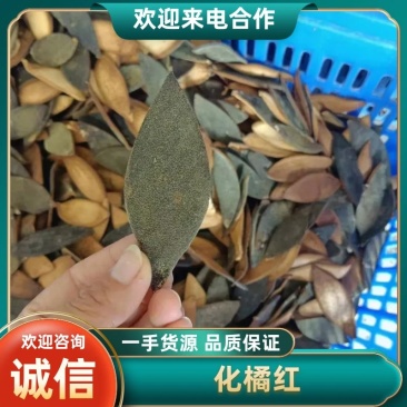 正宗化州正毛化橘红单皮，产地直发！全国发货！