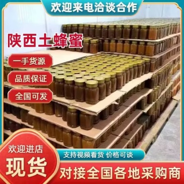 【正宗】陕西土蜂蜜量大从优保质保量自家养殖一手货源