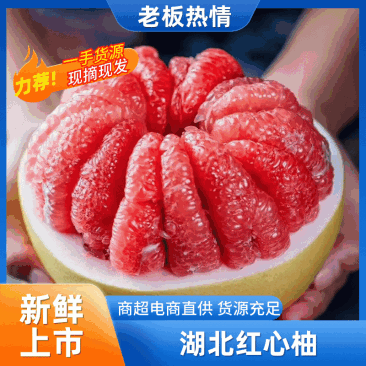 湖北红心柚熟了大量现货欢迎采购量大从优精品好柚