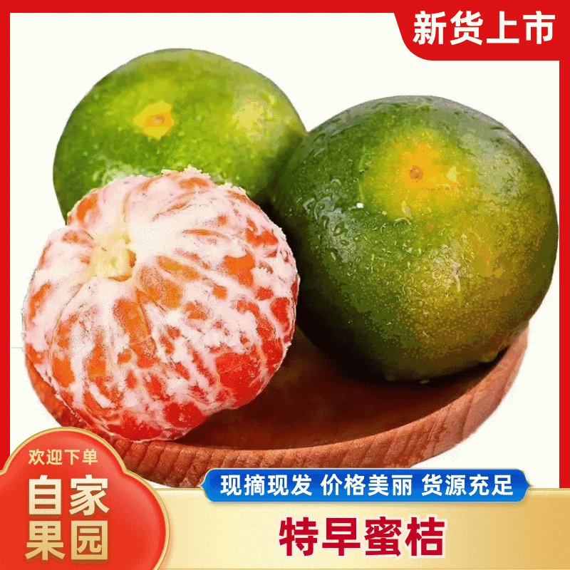 柑桔/蜜橘湖南省常德市澧县特早蜜桔爆甜多汁量大从优