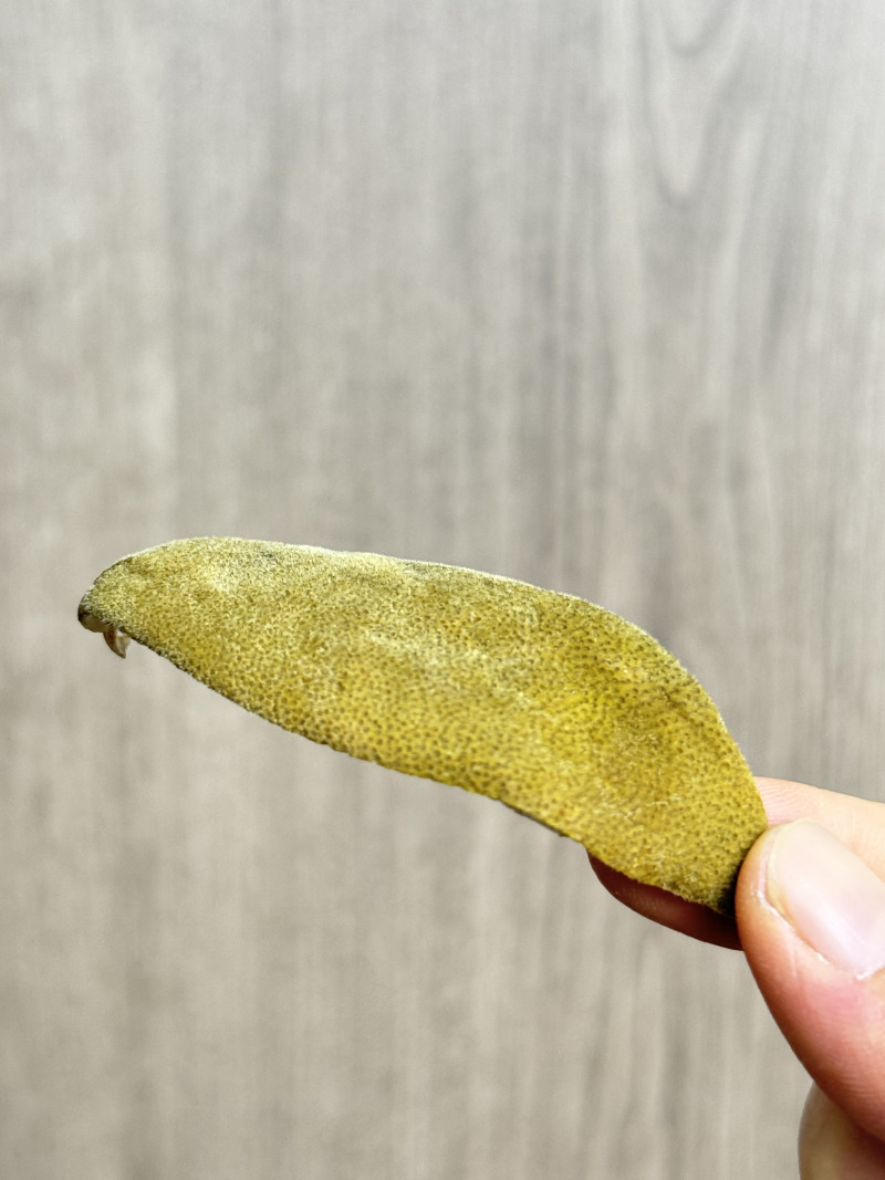 正宗化橘红薄皮厂家批发化州橘红皮一爪皮