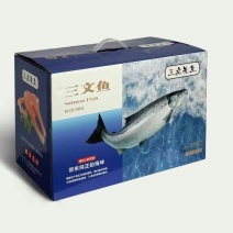 挪威冰鲜冷冻三文鱼礼盒