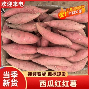 精品西瓜红红薯万亩基地直供/实力商家全国供货市场商超电商
