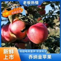 乔纳金苹果现货现发对接全国市场，全网电商，社区团购平台