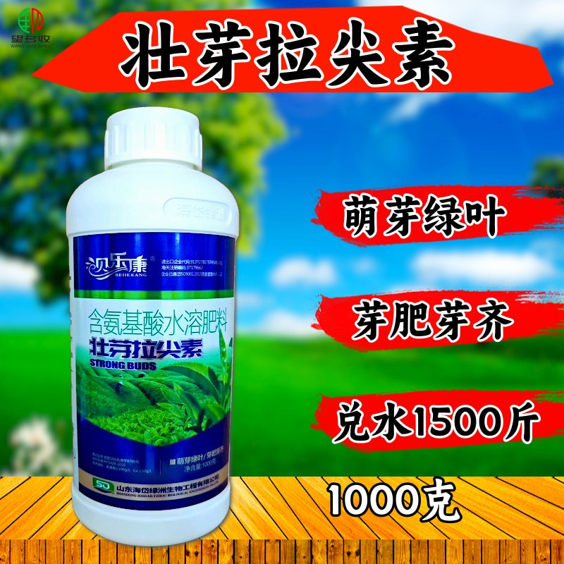 茶叶叶面肥催芽增厚素茶叶壮芽拉尖素芽多浓绿叶厚增产抗病