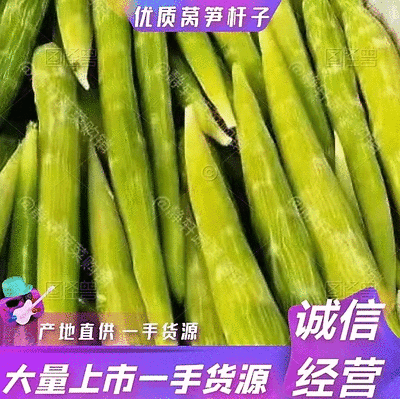 兰陵莴笋莴笋肉莴笋杆子产地直供价格便宜欢迎来电