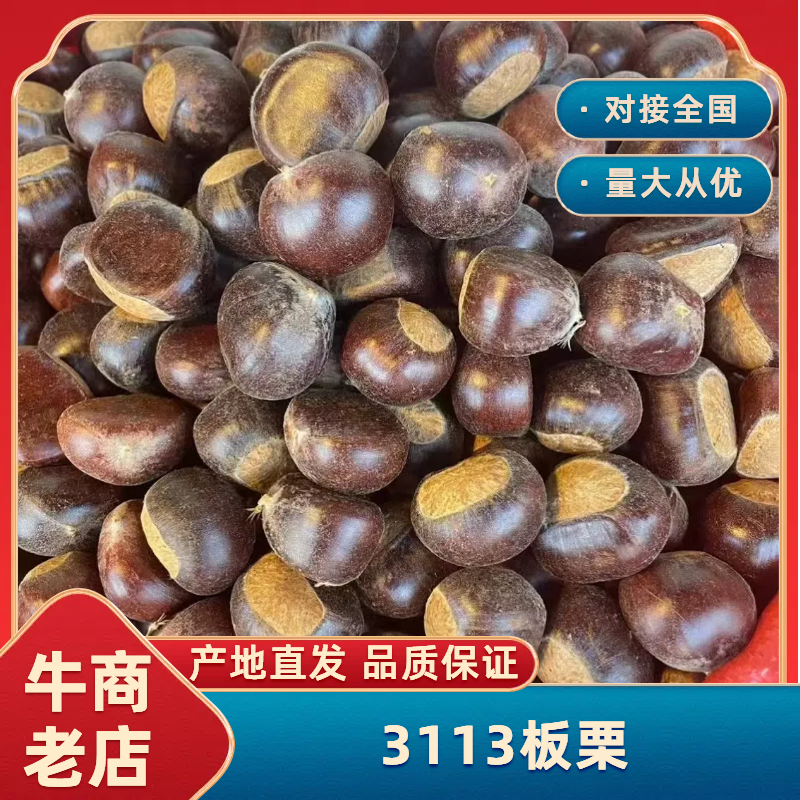 云南野生栗子3113板栗大量供应保质保量诚信经营全国发货