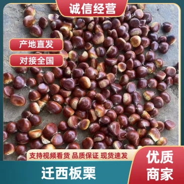 迁西板栗软糯香甜产地直发一手货源保质保量炒货专用量大价优