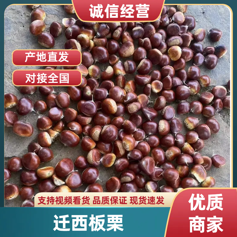 迁西板栗软糯香甜产地直发一手货源保质保量炒货专用量大价优