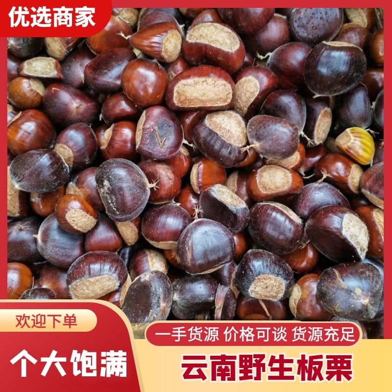 云南野生栗子板栗迁西板栗3113板栗货源充足炒货专用