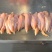 正大鸡胸肉精品鸡胸肉新鲜鸡胸肉大量有货一手货源质保