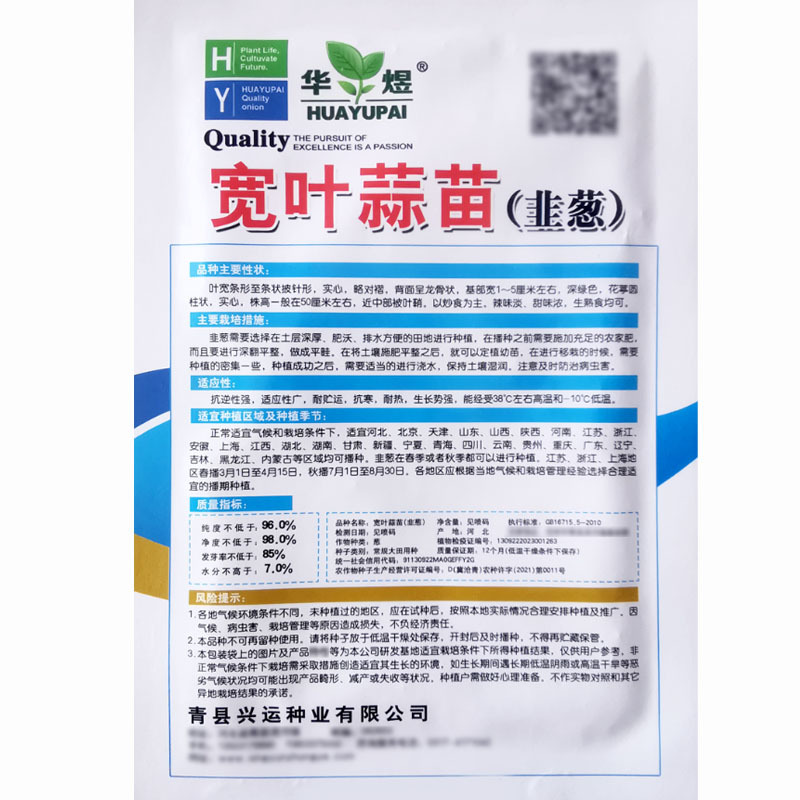 高白美蒜苗种子四季播大蒜苗阳台盆栽棚种香蒜硬叶蒜苗蒜苗种