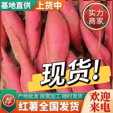 鲜货/西瓜红/烟薯25/大量上市供应/电商/商超/市场