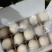 梨酥梨砀山酥梨纯甜无渣品种好规格全欢迎咨询