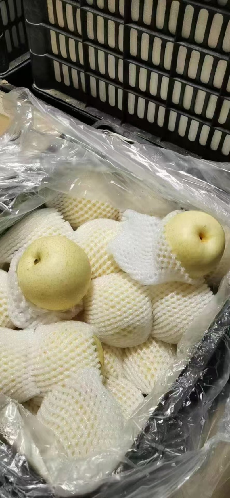 梨酥梨砀山酥梨纯甜无渣品种好规格全欢迎咨询