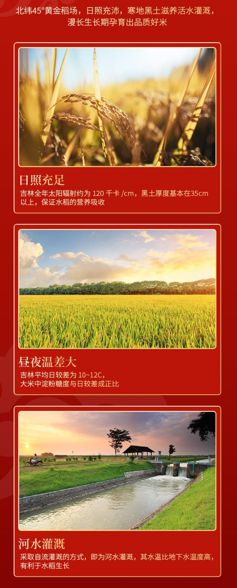 2024东北新大米长粒香大米粳米香米按需包装一件代发批发