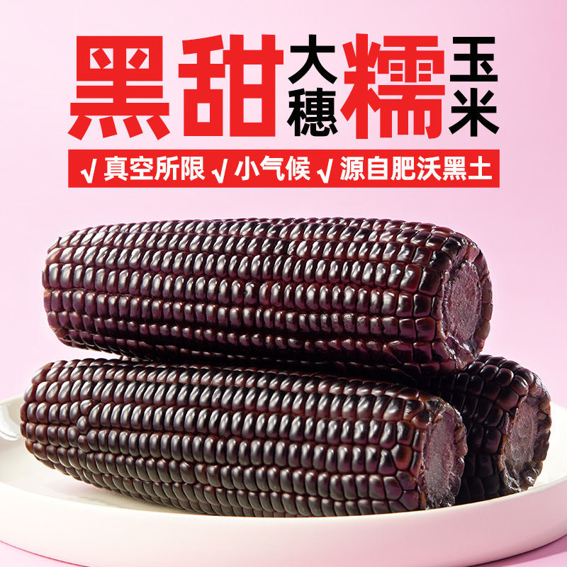 东北黑糯玉米