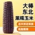 东北黑糯玉米
