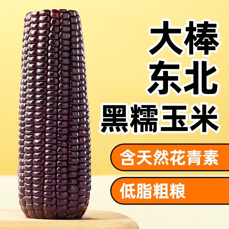 东北黑糯玉米
