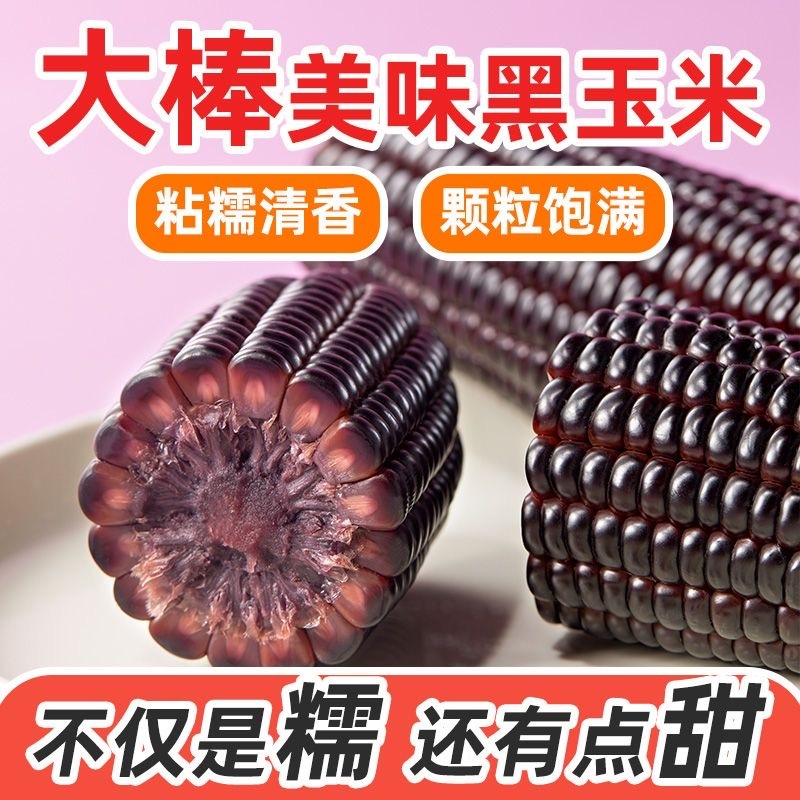 东北黑糯玉米