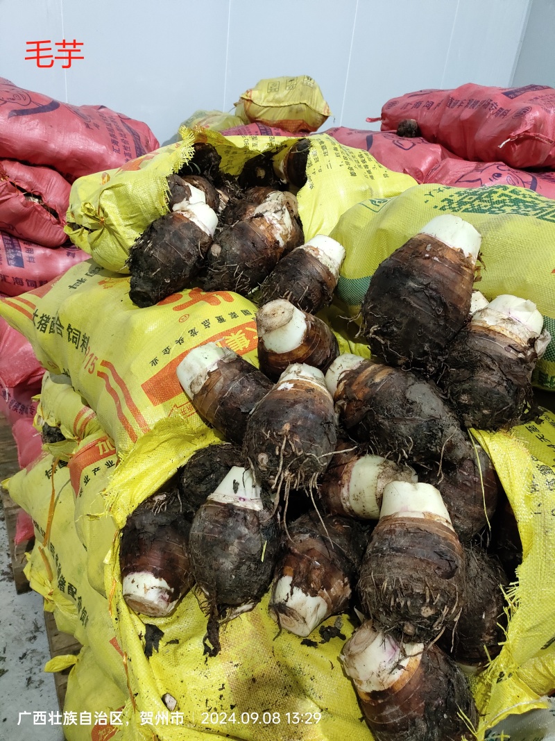 精品芋头毛芋芋丁扇形货源充足价格便宜，量大价更优