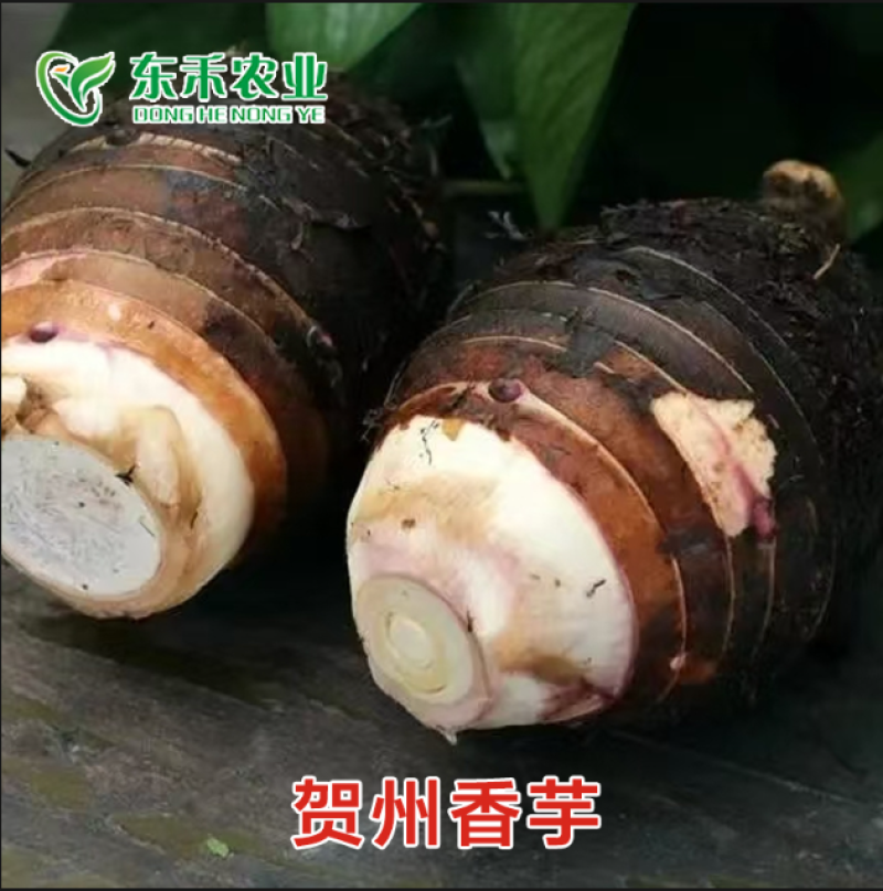精品芋头毛芋芋丁扇形货源充足价格便宜，量大价更优