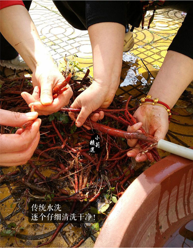 丹参中药材正品泡水干货养生茶紫丹参粉单参丹生非特级野生