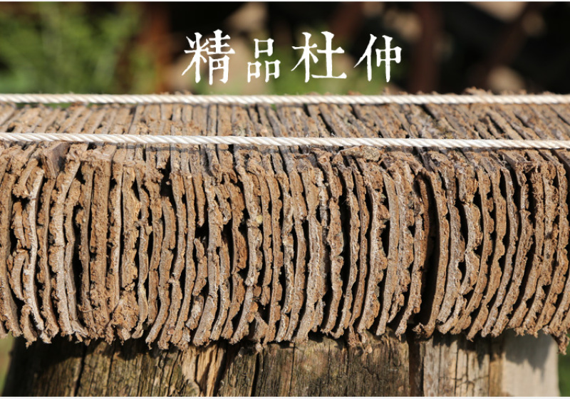 杜仲中药材正品生杜仲树皮杜仲粉杜仲片巴戟非野生杜仲茶