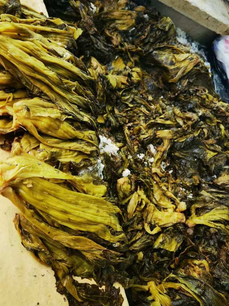 【腌芥菜】华容腌制芥菜诚信经营品质保证可全国发货
