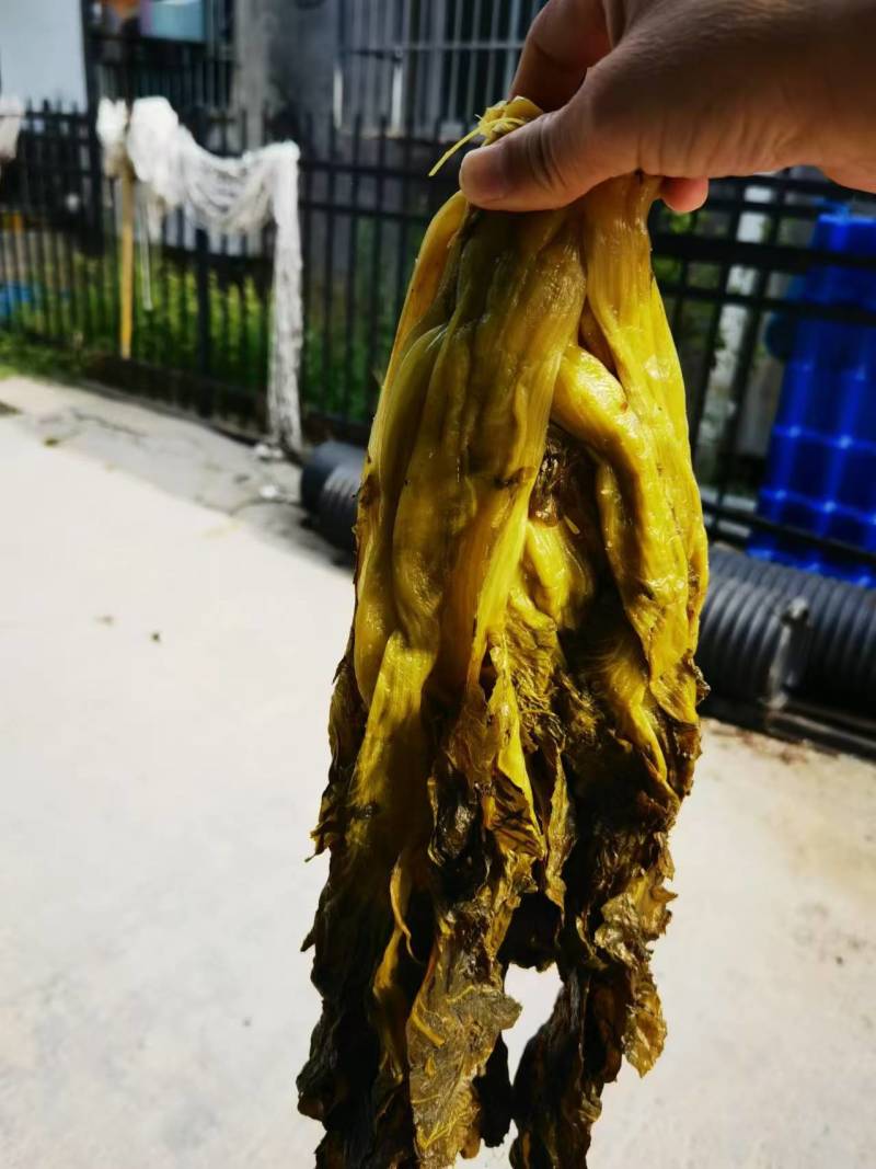 【腌芥菜】华容腌制芥菜诚信经营品质保证可全国发货