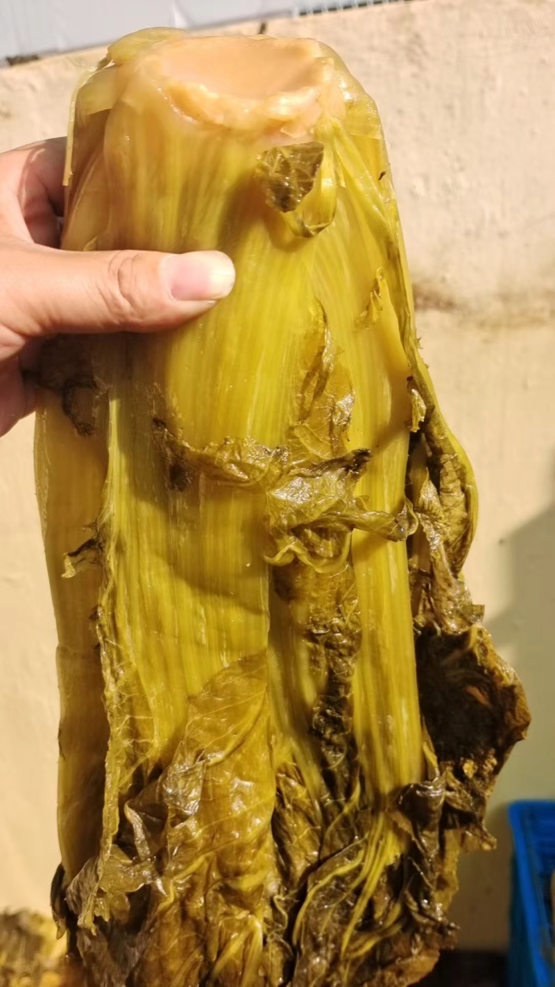 【腌芥菜】华容腌制芥菜诚信经营品质保证可全国发货