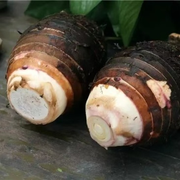 精品芋头毛芋芋丁扇形货源充足价格便宜，量大价更优