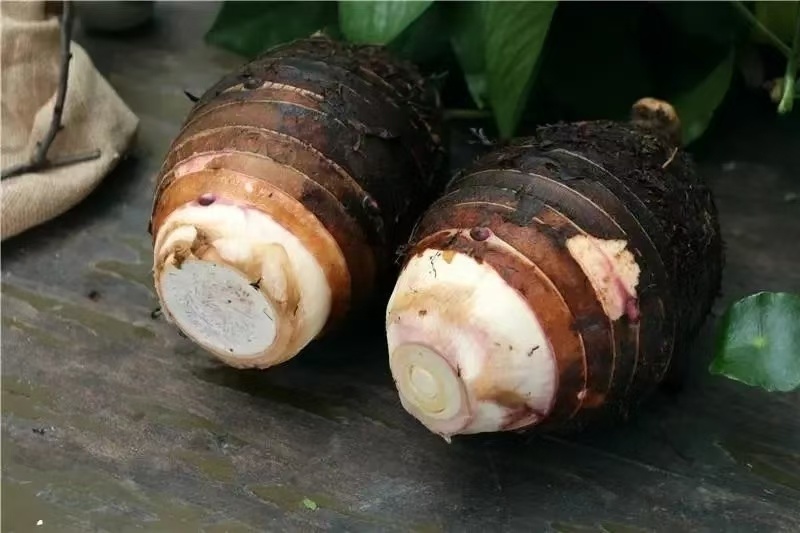 精品芋头毛芋芋丁扇形货源充足价格便宜，量大价更优