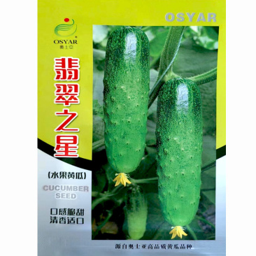 水果黄瓜种子奥士亚翡翠之星强雌旱黄瓜种孑脆甜刺