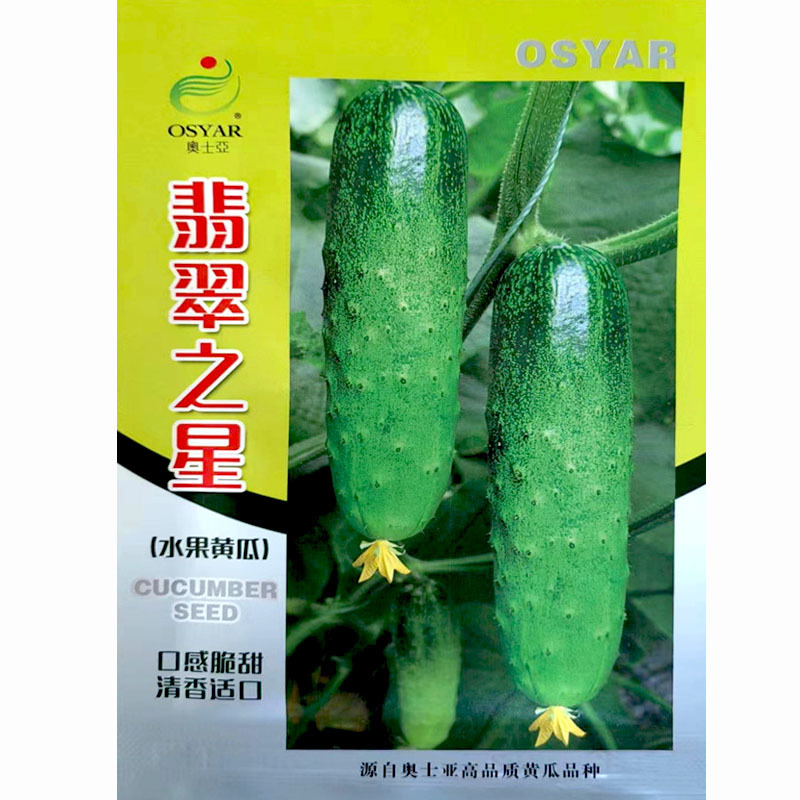 水果黄瓜种子奥士亚翡翠之星强雌旱黄瓜种孑脆甜刺