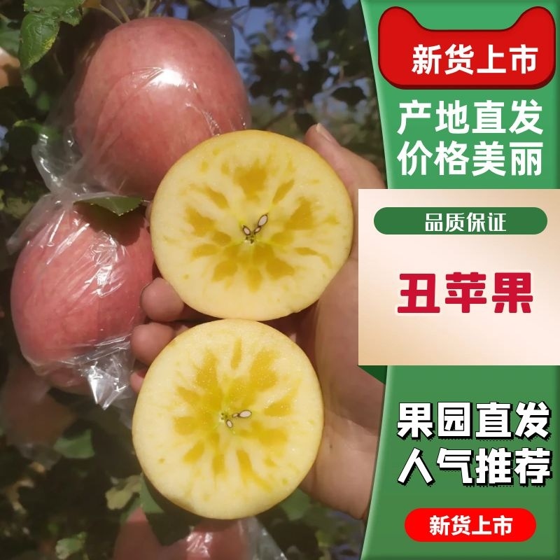 【推荐】山西冰糖心苹果大量供应一手货源品质保证量大从优
