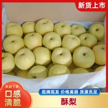 山西双油纸袋贡梨蜜梨酥梨产地直发品质保证量大从优