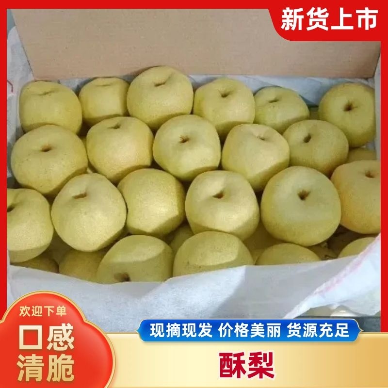 山西双油纸袋贡梨蜜梨酥梨产地直发品质保证量大从优
