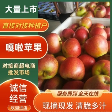 【推荐】精品嘎啦苹果产地直供品质保证可视频看货