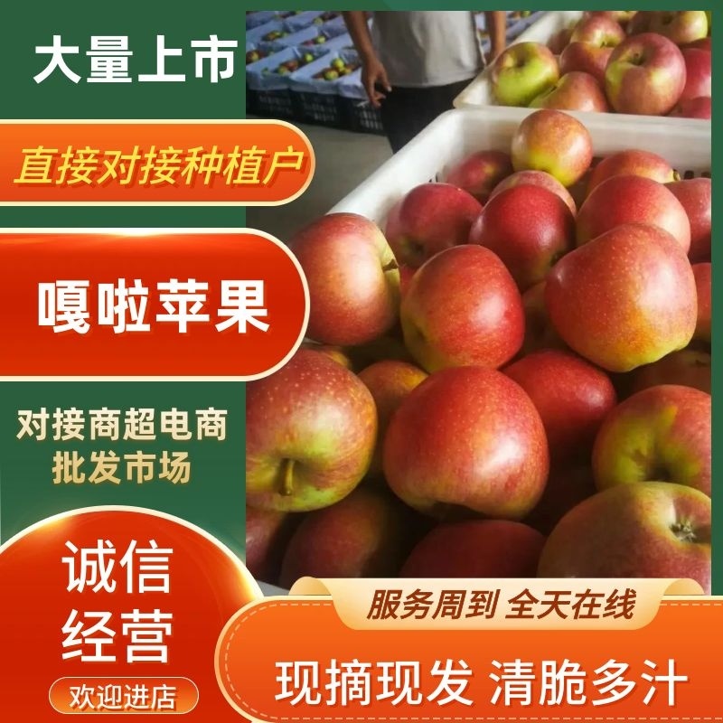 【推荐】精品嘎啦苹果产地直供品质保证可视频看货