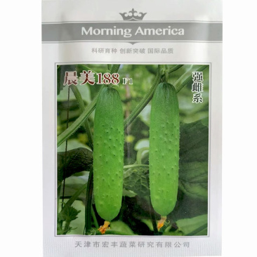 晨美188水果黄瓜种子10g早熟强雌旱黄瓜薄皮