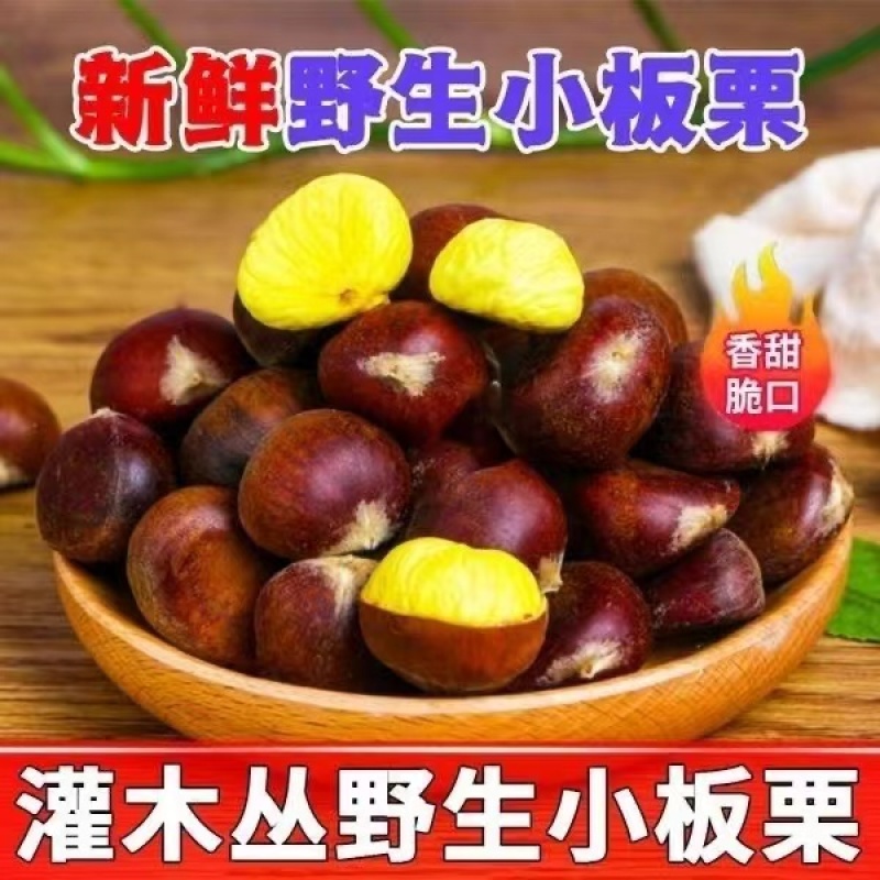 洛阳野生大板栗野生板栗货源充足，150粒左右